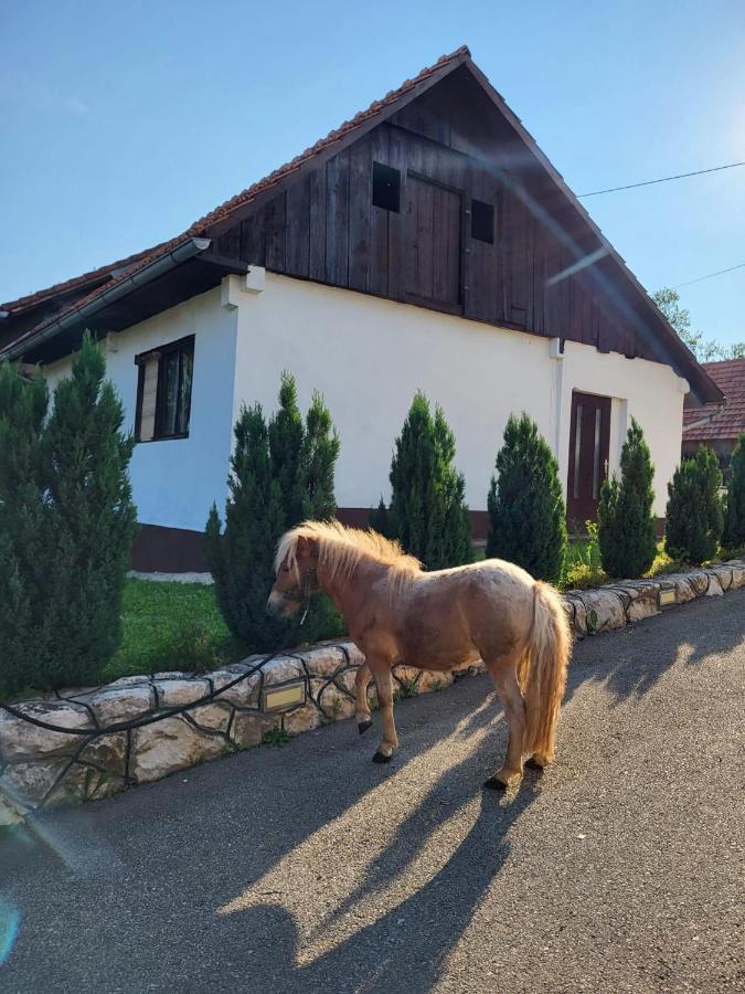 Apartment Dado Slunj Εξωτερικό φωτογραφία