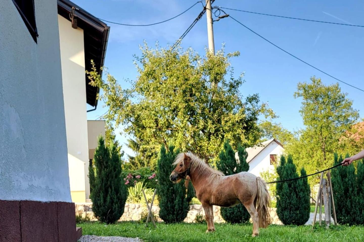 Apartment Dado Slunj Εξωτερικό φωτογραφία